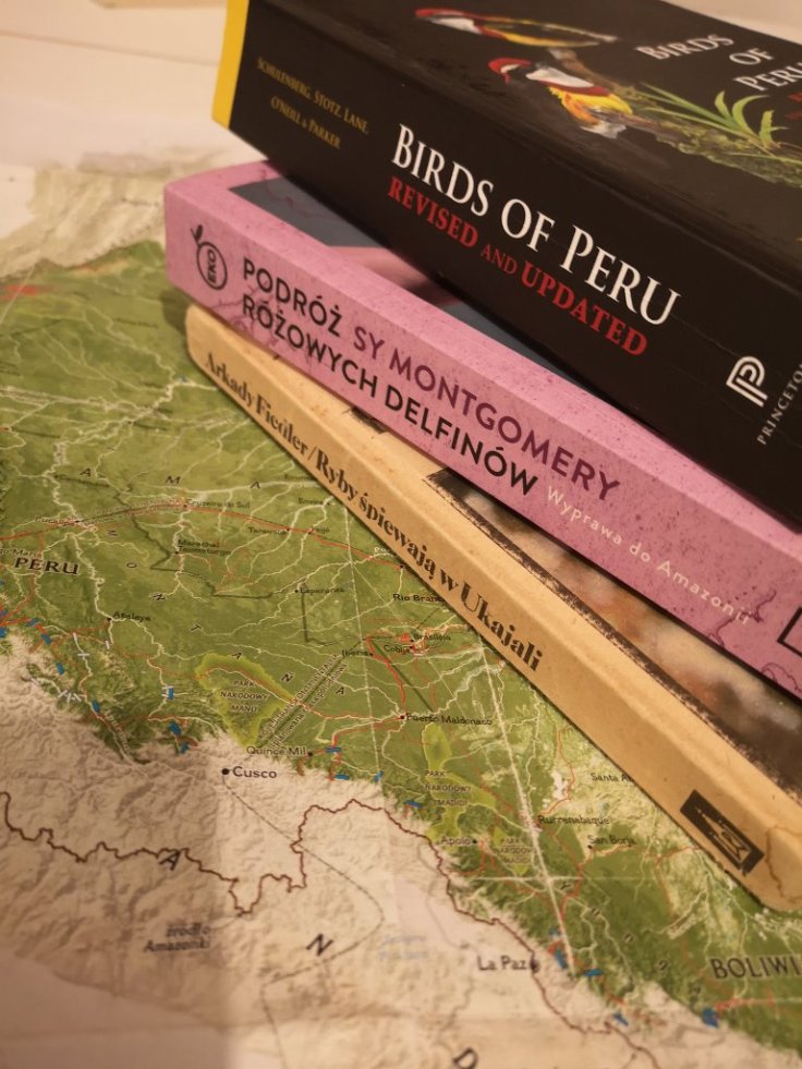 IMG_20200303_211657 (768x1024)